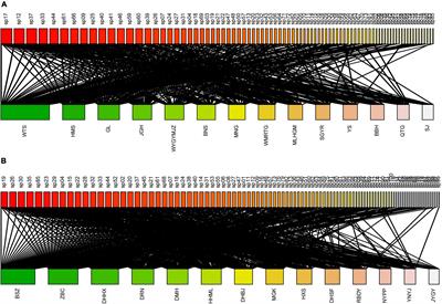 Structuring Interaction Networks Between Epiphytic Bryophytes and Their Hosts in Yunnan, SW China